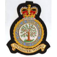 RAF No.1 School Technical Training Blazer Badge